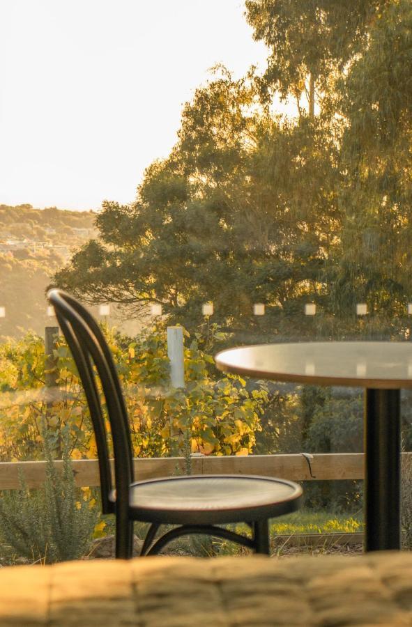 Hotel Tussock Hill Vineyard Retreats Christchurch Esterno foto