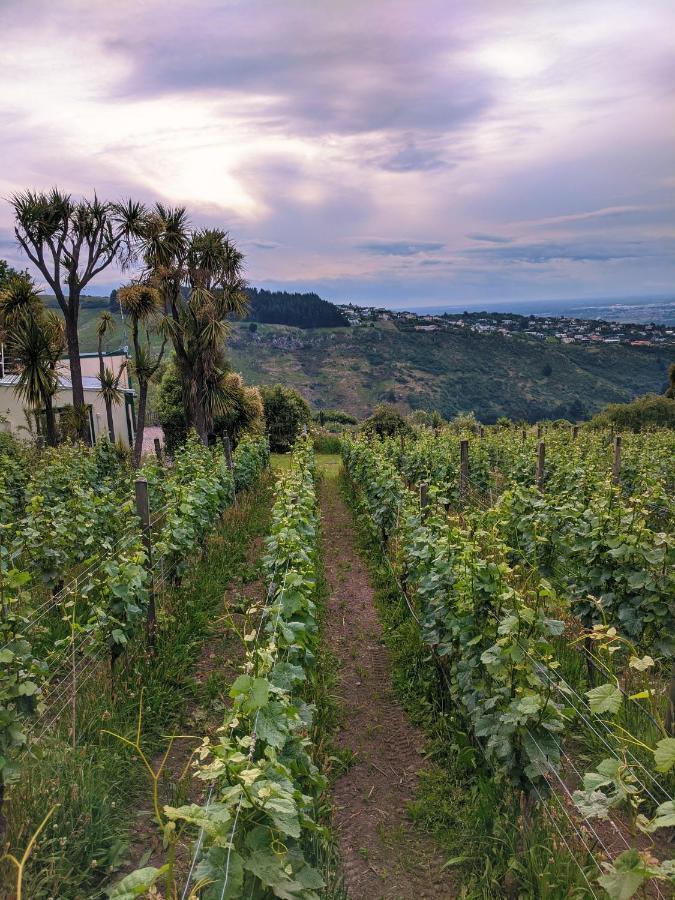 Hotel Tussock Hill Vineyard Retreats Christchurch Esterno foto